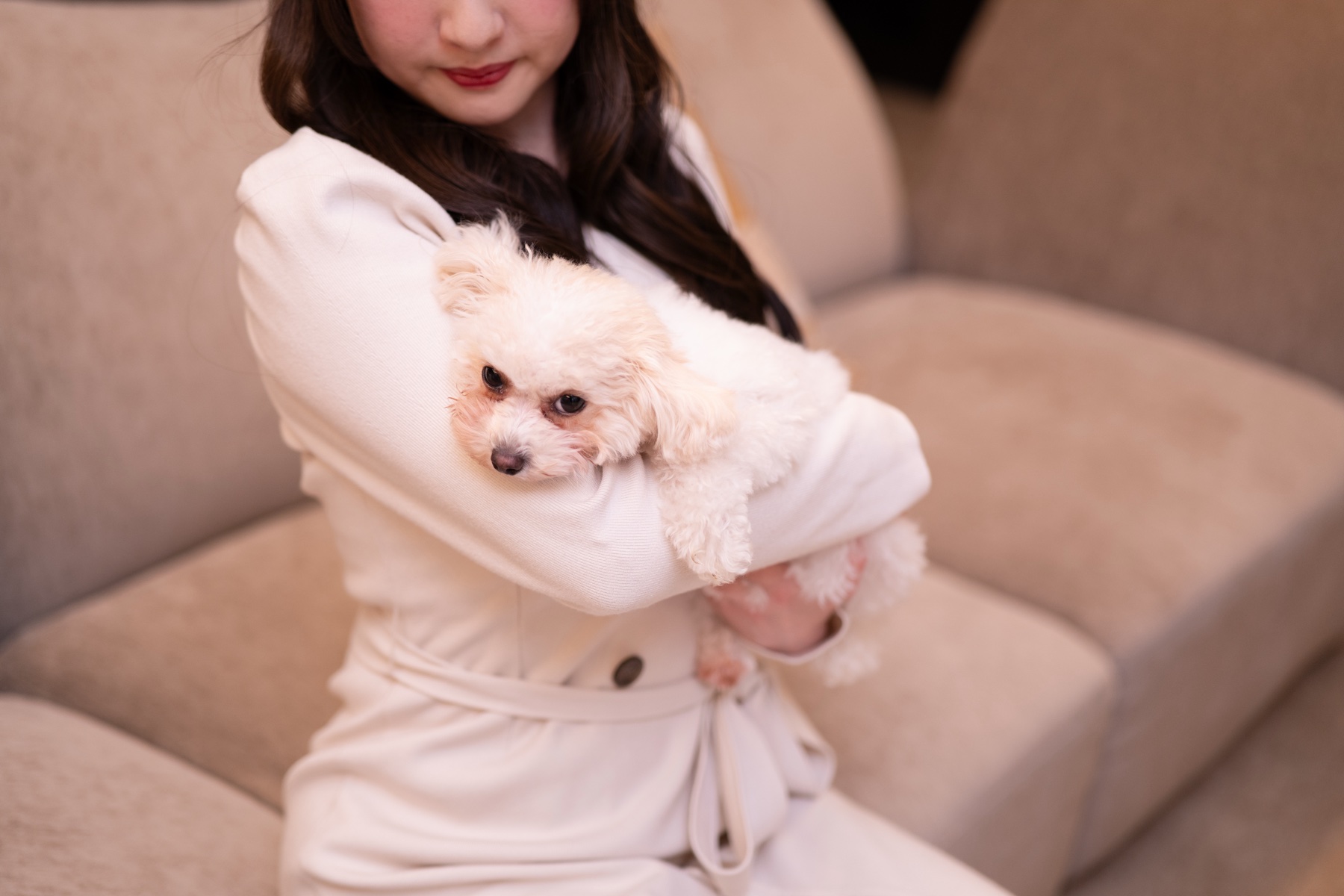プロのトリマー