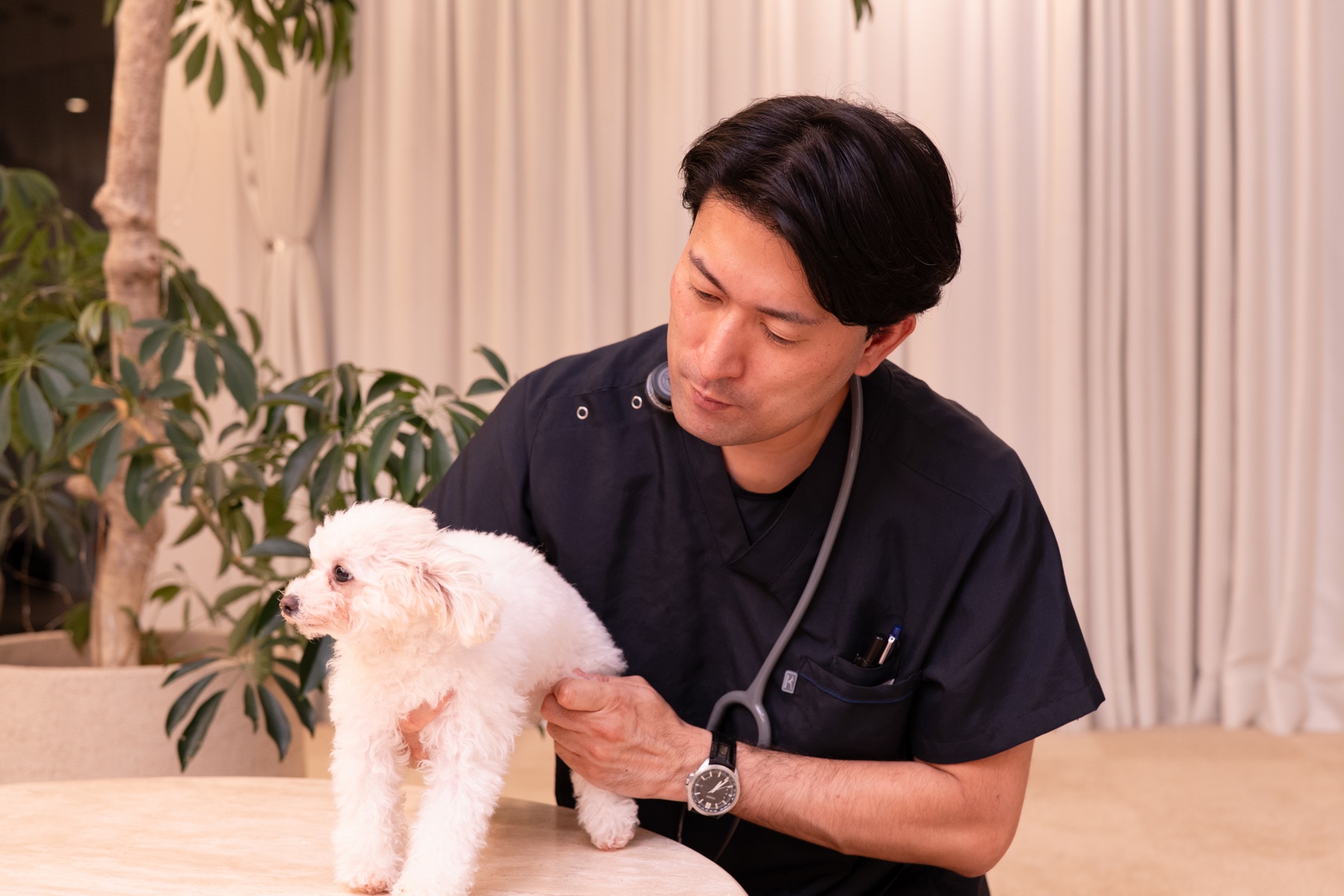 代表取締役 浅沼直之